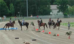 Daglfing06.jpg (55481 Byte)