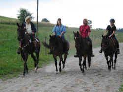 isen02_01.jpg (131009 Byte)