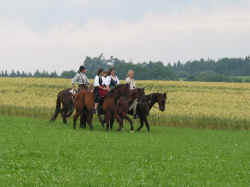 isen02_03.jpg (153243 Byte)