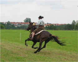 isen02_05.jpg (33526 Byte)